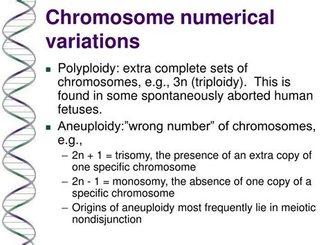 ppt chromosomes normal and aberrant structure and karyotypes