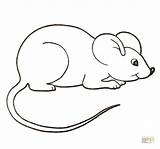 Mouse Coloring Pages Clipart Color Mice Printable Cute Colouring House Paint Para Rato Kids Desenho Drawing Supercoloring Crafts Colorir Google sketch template