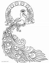 Peacock Coloring Pages Colouring Kids Printable Drawing Realistic Adult Mandala Bird Book Print Color Books Cool2bkids Sketch Designs Sheets Feathers sketch template