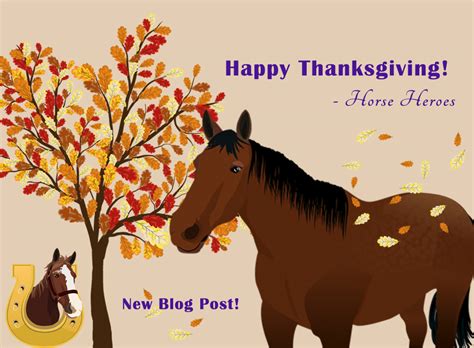 happy thanksgiving equine science center