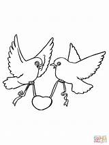 Kleurplaten Ausmalen Lovebird Disegnare Tortelduifjes Uccelli sketch template