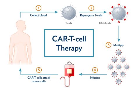 research project aims   car  cell therapy safer