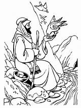 Elijah Ravens Feeding Prophet Accept Samaritan Raven Coloringsun sketch template