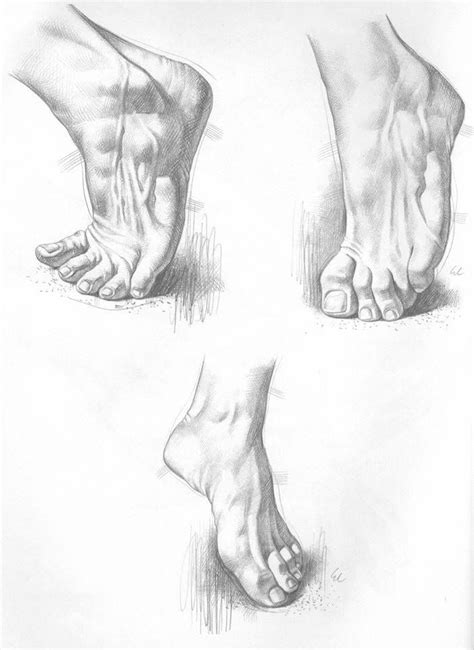 Life Drawing Figure Drawing Feet Drawing Anatomy Sketches Drawing