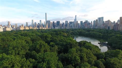aerial drone central park slow zoom  shot