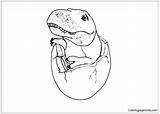 Rex Baby Coloring Pages Color Online sketch template
