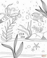 Unterwasserwelt Podwodny świat Ryby Wasser Tiere Kolorowanka Rätsel Basteln sketch template