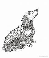Dachshund Zentangle Long Doxie Haired Tattoo Coloring Lovers Pages Redbubble Dackel People Works Dapple Puppy Five Friday Template Weiner Choose sketch template