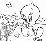 Tweety Coloring Bird Pages Printable Kids Flowers Cool2bkids Baby Print Cartoon Disney Cute Everfreecoloring Heart Choose Board sketch template