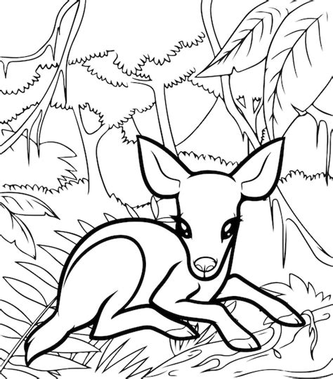 premium vector cute baby deer coloring pages  kids