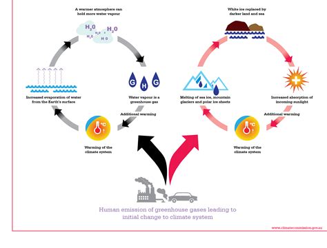 feedback loop climate council