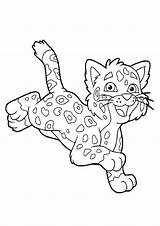 Coloring Cheetah Cub Pages Baby Cute Color Little Happy Drawing Realistic Running Step Printable Nike Shoes Animals Print Worksheets Getcolorings sketch template