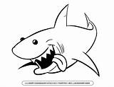 Shark Drawing Great Outline Clipart Drawings Sharks Simple Cool Jaw Clip Goblin Clipartmag Cliparts Easy Getdrawings Basic sketch template