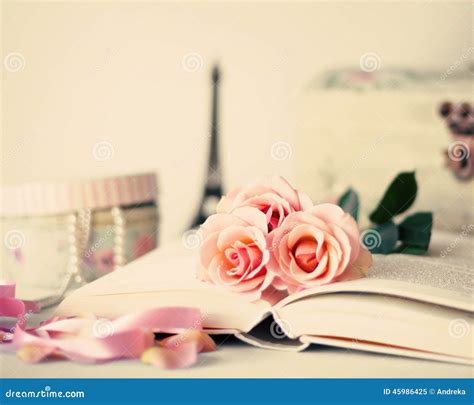 vintage roses  book stock image image  love classic