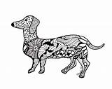 Coloring Pages Dog Dachshund Zentangle Drawing Doberman Colouring Weenie Wiener Weimaraner Dogs Animal Color Getcolorings Adult Awesome Sad Face Getdrawings sketch template