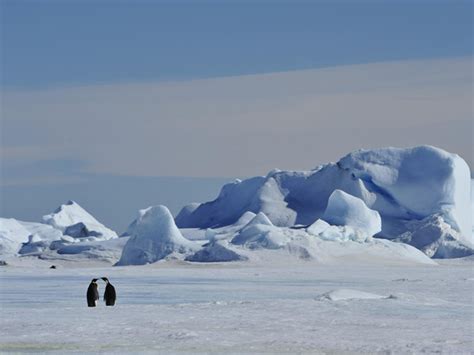 Sea Ice To Vanish From Arctic Ocean As Region Warming
