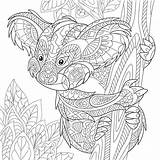 Koala Zentangle Australie Antistress Orso Stylized Gestileerde Stiliserade Colorear Stockillustratie Stilizzato Foglie Sybirko Tattoo Erwachsene Colouring Koalas Ausmalen Eucalyptus Chameleon sketch template