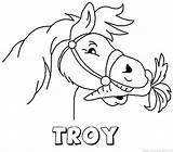Troy Paard Sinterklaas Naam sketch template