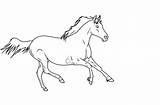 Horse Galloping Lineart Deviantart Deviant sketch template