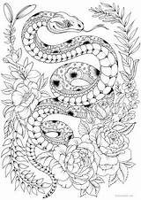 Coloring Serpent Favoreads Snakes Adulte Malvorlagen Colorear Mandalas Colorare Ausmalen Schlange Erwachsene Blumen Zentangle Pyrography Ausdrucken Livres Serpientes Serpenti Malbuch sketch template