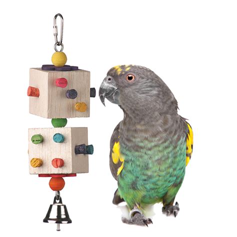 parrot dice medium bird toy super bird creations