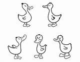 Coloring Duck Five Ducks Baby Oregon Color Pages Print Getcolorings Netart Impressive Printable sketch template