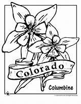 Colorado Coloring Flower State Pages Columbine Clipart Oregon Jr Clipground Designlooter Printables Drawings Classroom Kids 04kb 880px sketch template