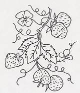 Vine Strawberries Choose Board Flickr Embroidery sketch template
