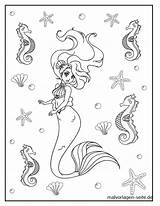 Meerjungfrau Malvorlage Seepferdchen Ausmalbilder Seesternen sketch template