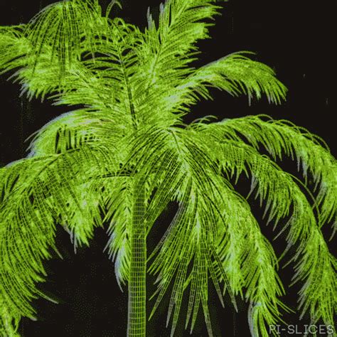 palm tree gif  pi slices find share  giphy
