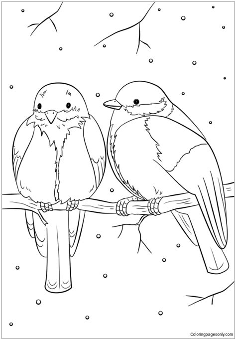 winter birds coloring pages winter coloring pages coloring pages