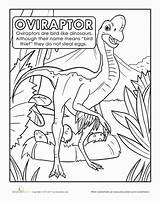 Dinosaur Coloring Pages Worksheets Oviraptor Kids Facts Dinosaurs Book Color Printables Activities Education Sheets Fun Choose Board Read Worksheet sketch template