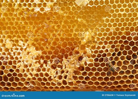 honingraat stock foto afbeelding bestaande uit honing