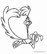 Roadrunner Coloring Pages Cartoon Coyote Tunes Printable Runner Road Looney Correcaminos Color Wily Character Kids Para Colorear Characters Pintar Sheets sketch template