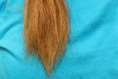 prevent  stop hair breakage  home remedies