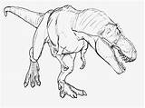 Coloring Giganotosaurus Pages Popular sketch template