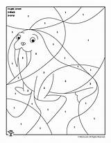 Walrus Number Color Coloring Preschool Animal Pages sketch template