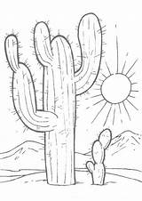 Coloring Desert Cactus Pages Saguaro Printable Drawing Habitat Colouring Draw Oasis Drawings Dessin Flower Step Kids Outline Color Colorimg Cacti sketch template
