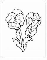 Coloring Pages Fitness Flower Health Getcolorings sketch template