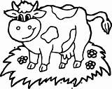 Cow Coloring Pages Head Printable Ausmalbilder Easy Drawing Jumping Moon Over Farm Sonnensystem Gut Kostenlos Getcolorings Color Paintingvalley Choose Board sketch template