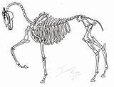 Horse Skeletal Drawing Skeleton Stock Getdrawings Stats Downloads Deviantart sketch template