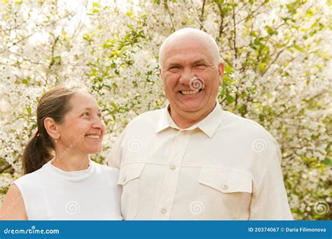 seniors stock image image  senior lifestyles