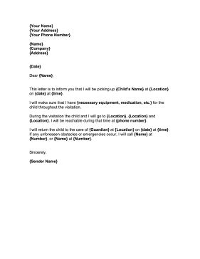 child visitation letter template letter  judge reference letter