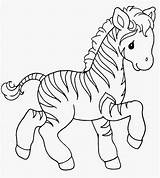 Zebra Coloring Pages Baby Cute Colouring Animal Template Printable Animals Kids Color Precious Print Templates Little 1080p Kindergeburtstag Sweet Zoo sketch template