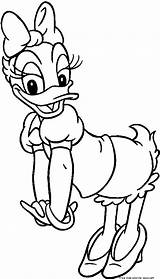 Coloring Pages Duck Daisy Printable sketch template