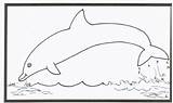 Print Dolphins Color Kids Ngiseng Gudu sketch template