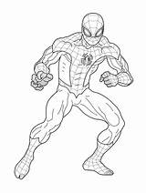 Spiderman Coloring Pages Printable Color Print Sheet Onlinecoloringpages Online sketch template