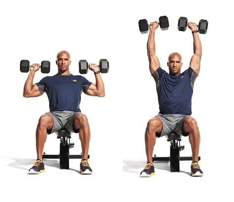 seated dumbbell overhead press video  proper form  tips  muscle fitness