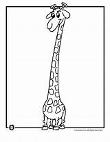 Giraffe Animaljr Giraffes sketch template
