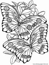 Coloring Pages Adult Butterfly Color Printable Animal Plate Fantasy Adults Gif Kids Flying sketch template